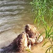 Sonntägliches Wasservergnügen