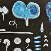 Die Natur – nach Schönheit sortiert