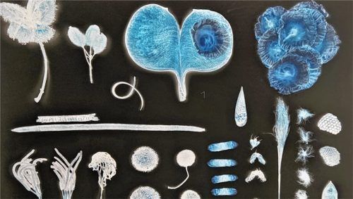 Ein bläulich-schwarz-weißer Schimmer liegt auf den zehn Motiven der fantastischen Fotografie-Prints des Künstlers Markus Heinsdorff.Foto gärtner