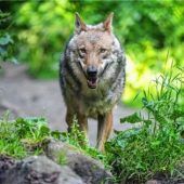 Das Ende naht – langsam, aber unausweichlich