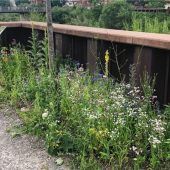 Spundwandbastionen am „Schwarzen Weg“ nachhaltig bepflanzt