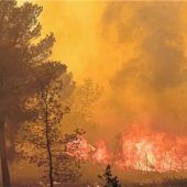 Angst vor Waldbränden