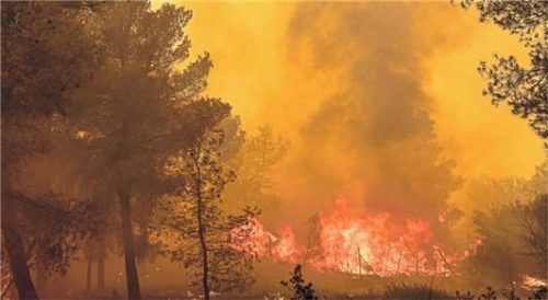 Feuer im Norden Athens: Die Bilder der letzten Wochen zeigen eindrücklich, wie Teile des Landes gegen die Flammen kämpfen.