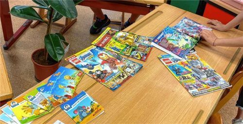 Für den Flohmarkt wurden überflüssig gewordene Bücher, Spielsachen und vieles mehr aus den Kinderzimmern zur Verfügung gestellt. Foto re