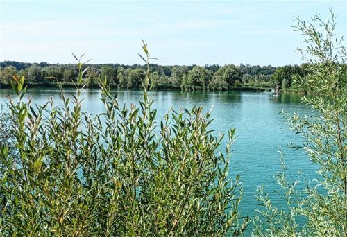 Für Kinderschwimmkurse sind die Höglinger Weiher offensichtlich nicht geeignet. Foto Weinzierl