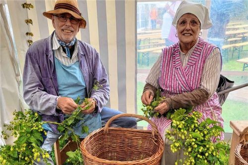 Hopfazupfa aus der Hallertau zeigen in ihrem Arbeitsgewand, wie früher professionell Hopfen gezupft wurde.Foto Hecht