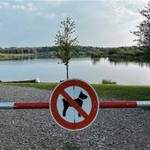 Hunde auf Badewiese verboten