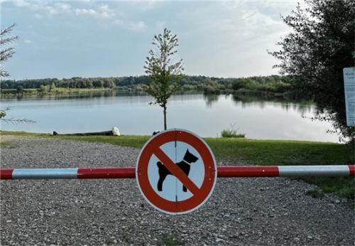 Hunde dürfen zwischen Mai und September nicht auf die Badewiese mitgenommen werden.Foto  Re