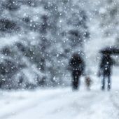 Flüchtlinge im Schneetreiben ausgesetzt