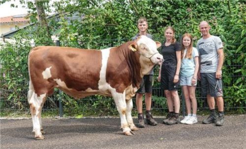 Seit Jahrzehnten ein bekannter Zuchtbetrieb, der Betrieb Thaler aus Emmering bei Leobendorf. Josef Thaler mit seinen Kindern Sebastian, Anna-Lena, Johanna und dem Spitzenstier des Marktes.Foto re