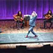 Die vielen Farben des Flamenco