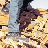 Recycling im Rückwärtsgang