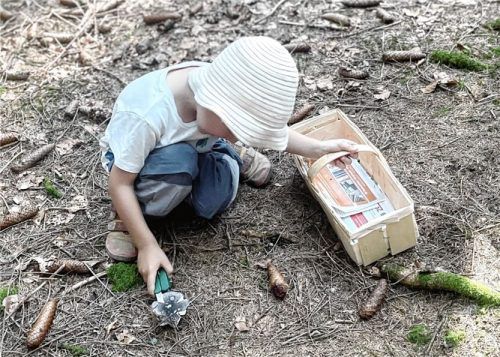 Völlig unverdächtiger Gebrauch eines Küchenmessers: Anton Hötzlspergers Enkel Luggi im Schwammerl-Einsatz. Fotos Hötzlsperger