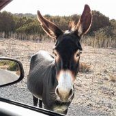 Unterwegs im unberührten Zypern