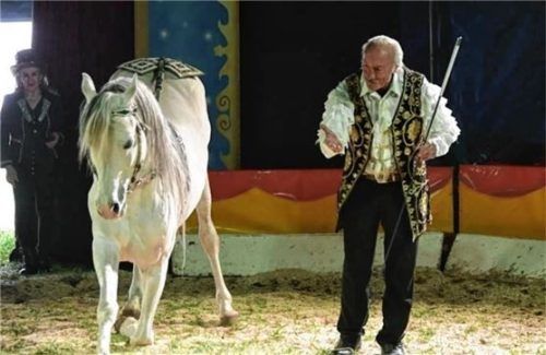 Zirkusdirektor Philipp Boldini präsentiert seine arabischen Hengste. Foto Re