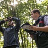 Ein gutes Jahr für Bayerns Wälder