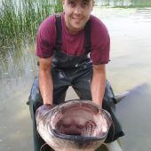 Der Riesenwels vom Pilsensee