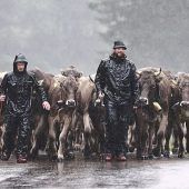 Jetzt kommt der Winter
