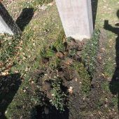 Saustall am Waldfriedhof