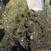 Saustall am Waldfriedhof