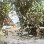Per Rad durch den Dschungel