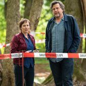 Zwielicht im Schwarzwald