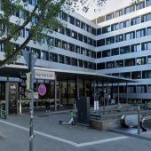 Stadt schafft Stelle für Tierschutz