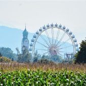 Zwei Rosenheimer Wahrzeichen auf einem Bild