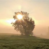 Sonnenstrahlen vertreiben Morgennebel