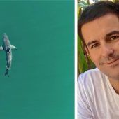 „Haie sind Raubtiere“