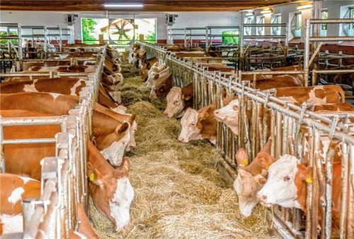 Das System wird für jeden Stall individuell angefertigt und kann dadurch an jede Stallsituation angepasst werden.