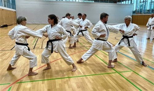 Das Trainerteam und die TVF-Karate-Mitglieder geben beim Karate Action- und Schnuppertag einen Einblick in die unterschiedlichen Trainingsinhalte.Foto  Neuwirth