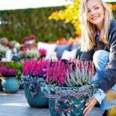 So kunterbunt wird der Herbst