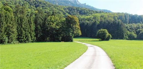 Die Heubergstraße wird hauptsächlich für den landwirtschaftlichen Verkehr, von Radfahrern und Wanderern genutzt. Foto  Steffenhagen