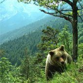 Bei der Tierliebe fehlt das Augenmaß