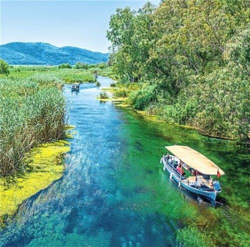 Ein Ort der Stille und einzigartiger Vegetation: der Fluss Azmak. Foto Isa Hoffinger