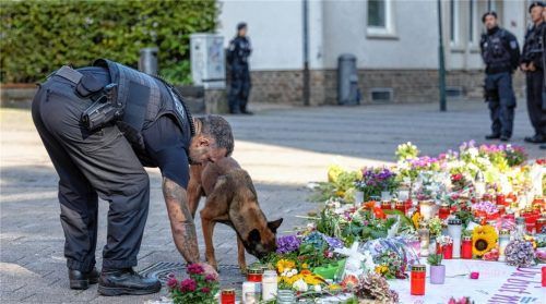 Ein Spürhund der Polizei kontrolliert vor dem Besuch des Bundeskanzlers Olaf Scholz einen Gullydeckel und die zum Gedenken der Opfer abgelegten Blumen nach der Messerattacke in Solingen am 23. August. Foto dpa