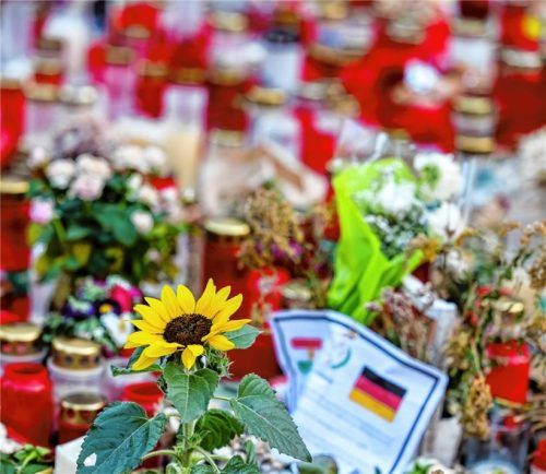 Eine Sonnenblume und unzählige Kerzen am Gedenkort unweit des Tatorts in Solingen. Der Messerangriff auf dem Solinger Stadtfest bewegt die Republik weiterhin. Foto dpa