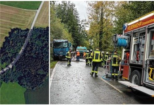 Es ist nicht der erste Lkw-Unfall, der sich im kurvenreichen Waldstücke (links) kurz vor Thann ereignet hat. Wer hier mit den Rädern auf den schmalen Randstreifen rutscht, hat keine Chance. Foto Bayernatlas/Gerlach