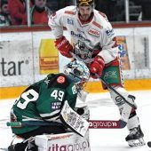 Alte Bekannte und zwei Neulinge