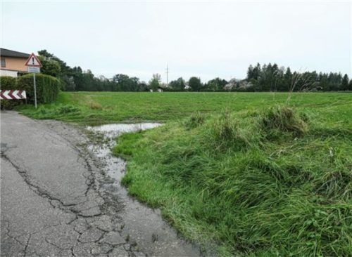 Geplantes Baugebiet zwischen Karolinenhöhe und Am Alpenblick. Foto re