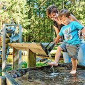 Vom Wald das Beste genießen