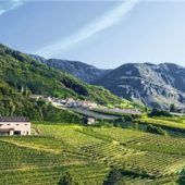 Genussreise in die Weinberge Südtirols