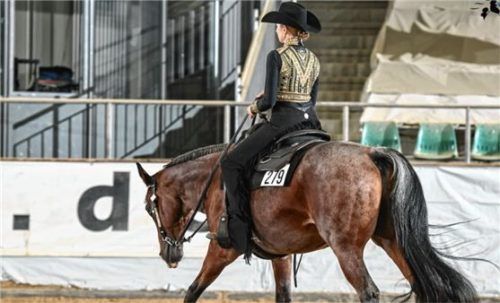 Larissa Weber holte mit Deutschland Silber.Foto re