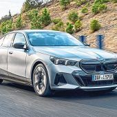 Kultiviertes Potenzial