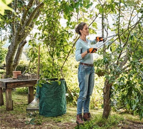 Mit einem Rückschnitt im Herbst werden Ziergehölze auf die kommende Gartensaison vorbereitet. Passendes Werkzeug ermöglicht den kräfteschonenden Rückschnitt. Foto STIHL