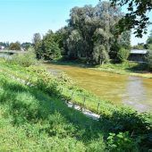 Wilder Ritt im Hochwasser