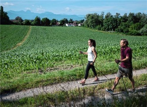 Nordic Walking rund um Bad Aibling.