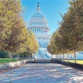 Die US-Hauptstadt im Wahlfieber