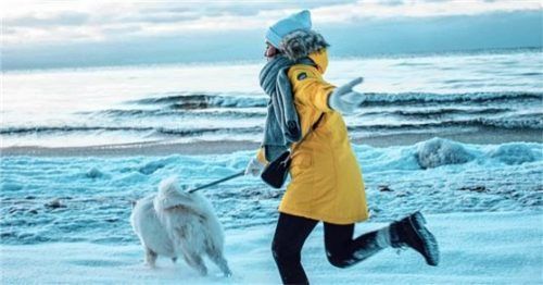 Spaziergänge sollten auch am Urlaubsort zur selben Zeit wie zuhause stattfinden. Foto pexels.com/Lily’s Kitchen/akz-o